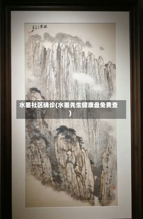 水墨社区确诊(水墨先生健康盘免费查)