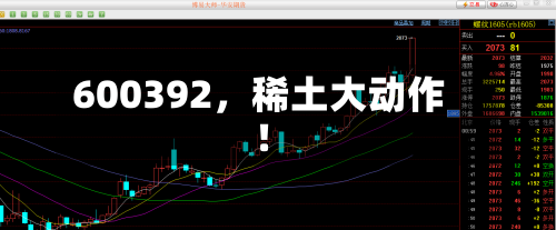 600392，稀土大动作！-第2张图片