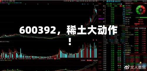 600392,稀土大动作!
