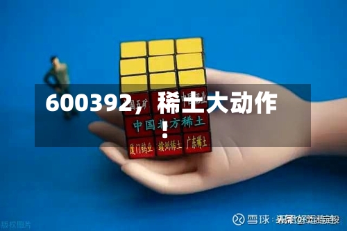 600392	，稀土大动作！-第3张图片