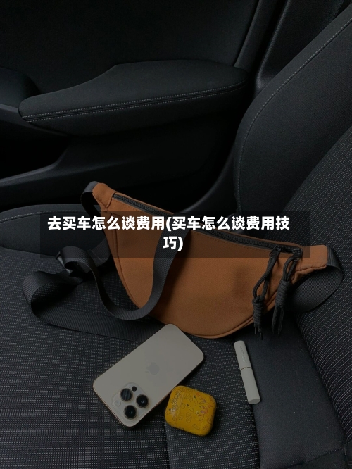 去买车怎么谈费用(买车怎么谈费用技巧)-第3张图片
