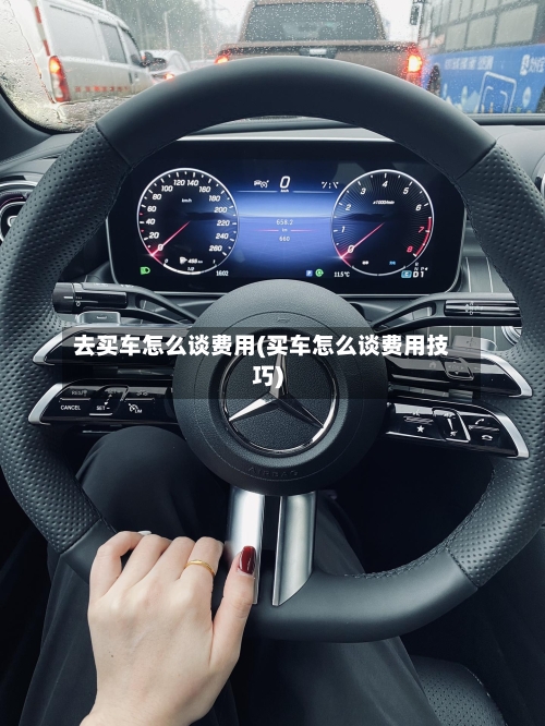 去买车怎么谈费用(买车怎么谈费用技巧)-第2张图片