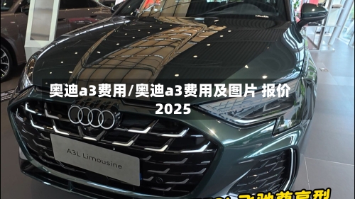 奥迪a3费用/奥迪a3费用及图片 报价2025-第2张图片