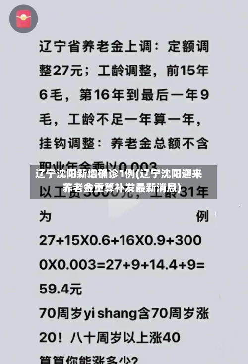 辽宁沈阳新增确诊1例(辽宁沈阳迎来养老金重算补发最新消息)-第3张图片