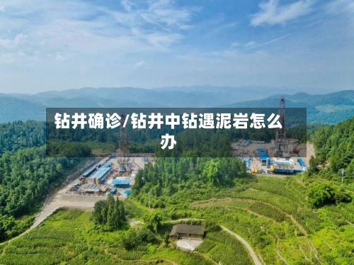 钻井确诊/钻井中钻遇泥岩怎么办