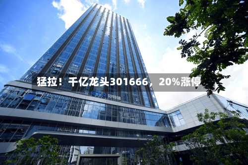 猛拉!千亿龙头301666,20%涨停