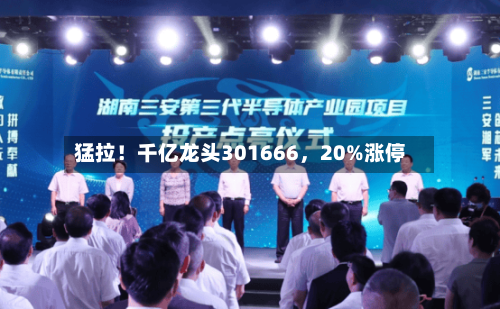 猛拉！千亿龙头301666，20%涨停-第2张图片