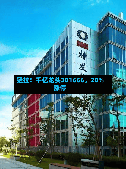 猛拉！千亿龙头301666	，20%涨停-第3张图片