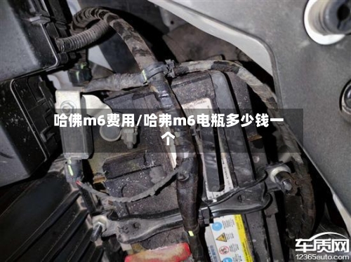 哈佛m6费用/哈弗m6电瓶多少钱一个-第2张图片