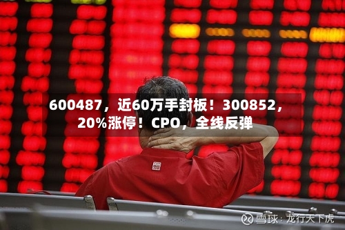 600487，近60万手封板！300852，20%涨停！CPO	，全线反弹-第2张图片