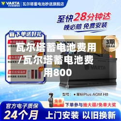 瓦尔塔蓄电池费用/瓦尔塔蓄电池费用800-第3张图片