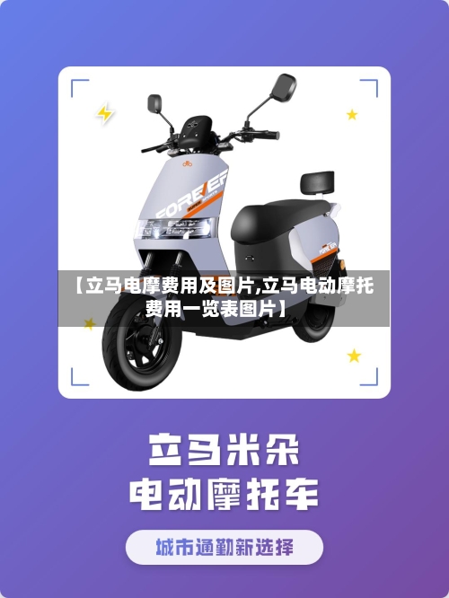 【立马电摩费用及图片,立马电动摩托费用一览表图片】-第3张图片