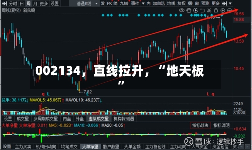 002134,直线拉升,“地天板”