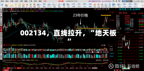 002134，直线拉升	，“地天板”-第2张图片