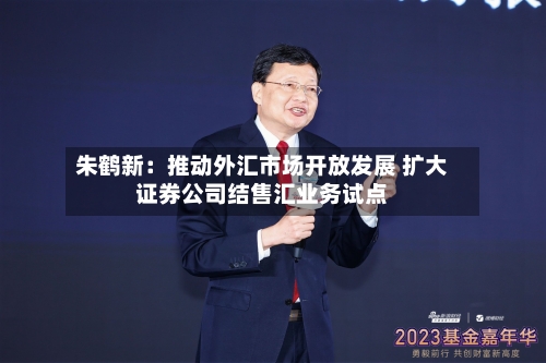 朱鹤新:推动外汇市场开放发展 扩大证券公司结售汇业务试点