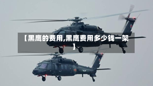 【黑鹰的费用,黑鹰费用多少钱一架】