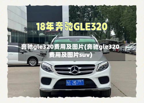 奔驰gle320费用及图片(奔驰gle320费用及图片suv)-第2张图片