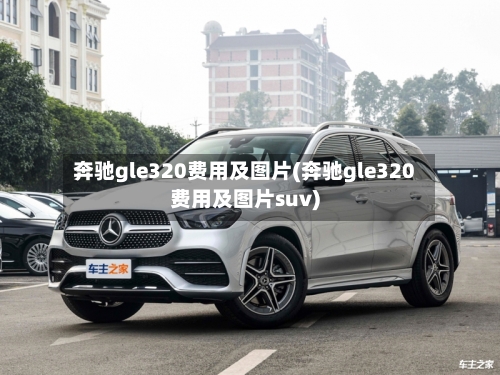 奔驰gle320费用及图片(奔驰gle320费用及图片suv)-第3张图片