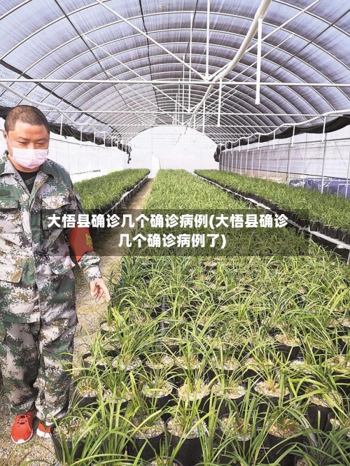 大悟县确诊几个确诊病例(大悟县确诊几个确诊病例了)