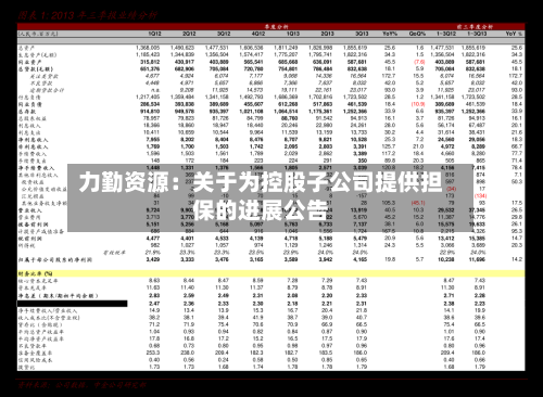 力勤资源：关于为控股子公司提供担保的进展公告