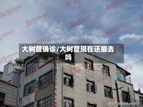 大树营确诊/大树营现在还能去吗