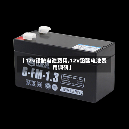 【12v铅酸电池费用,12v铅酸电池费用调研】
