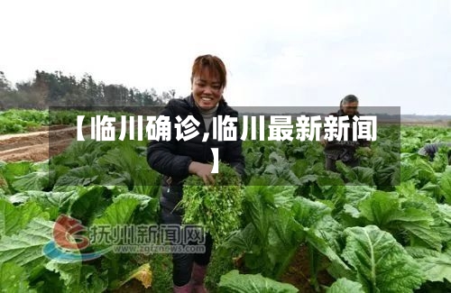 【临川确诊,临川最新新闻】