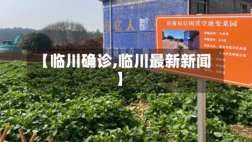 【临川确诊,临川最新新闻】-第3张图片