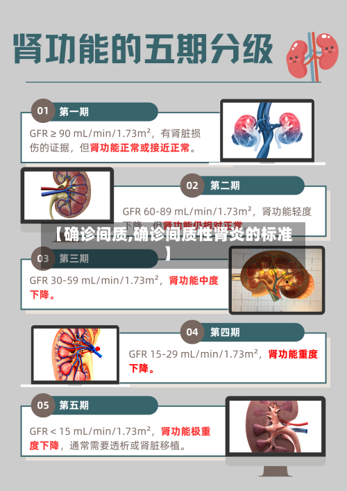 【确诊间质,确诊间质性肾炎的标准】-第2张图片