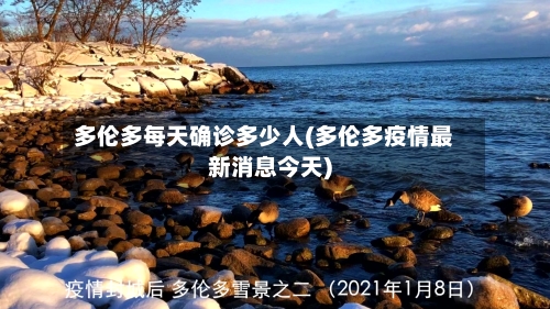多伦多每天确诊多少人(多伦多疫情最新消息今天)-第3张图片