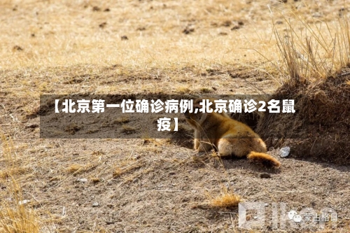 【北京第一位确诊病例,北京确诊2名鼠疫】-第2张图片