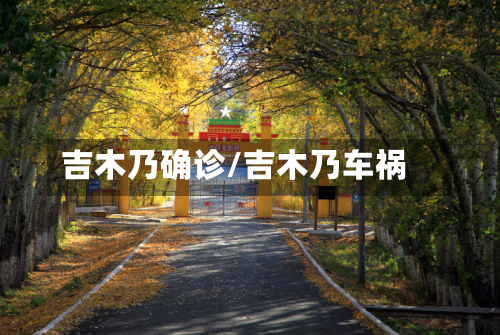 吉木乃确诊/吉木乃车祸
