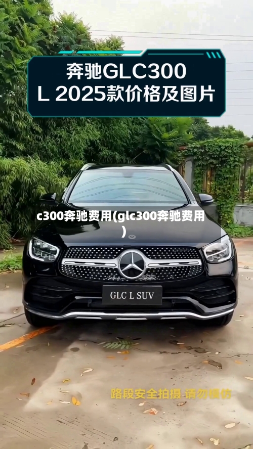 c300奔驰费用(glc300奔驰费用)