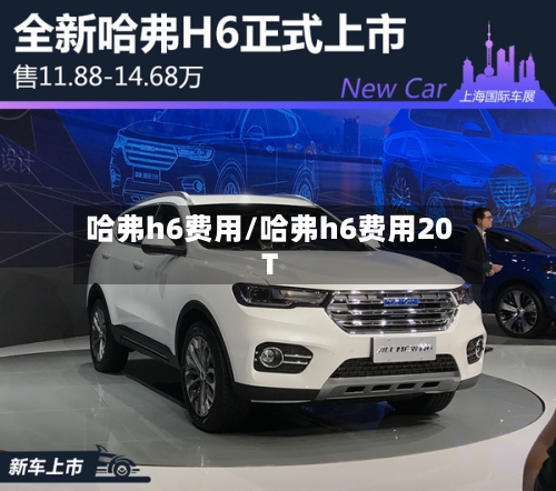 哈弗h6费用/哈弗h6费用20T