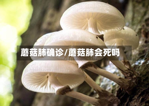 蘑菇肺确诊/蘑菇肺会死吗