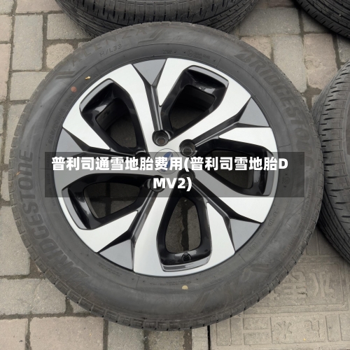 普利司通雪地胎费用(普利司雪地胎DMV2)-第2张图片