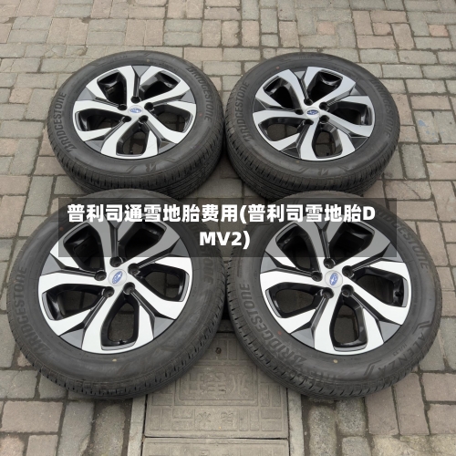 普利司通雪地胎费用(普利司雪地胎DMV2)-第3张图片
