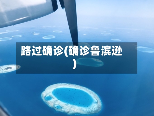 路过确诊(确诊鲁滨逊)