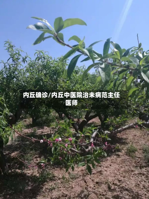 内丘确诊/内丘中医院治未病范主任医师