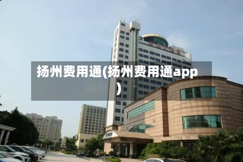 扬州费用通(扬州费用通app)