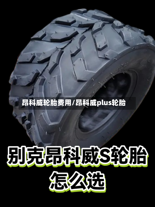 昂科威轮胎费用/昂科威plus轮胎-第3张图片