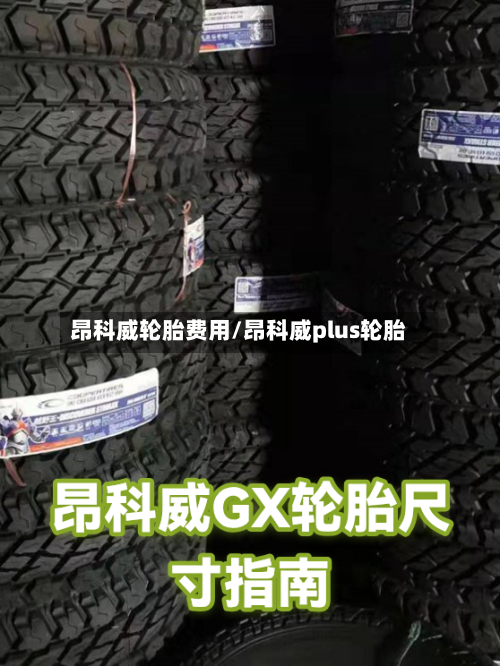 昂科威轮胎费用/昂科威plus轮胎-第2张图片