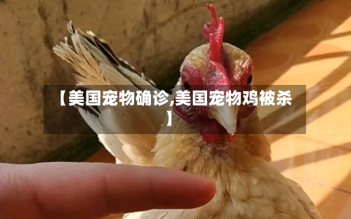 【美国宠物确诊,美国宠物鸡被杀】