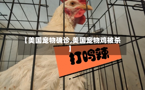 【美国宠物确诊,美国宠物鸡被杀】-第3张图片