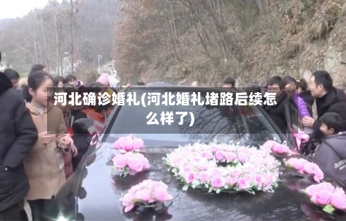河北确诊婚礼(河北婚礼堵路后续怎么样了)-第2张图片
