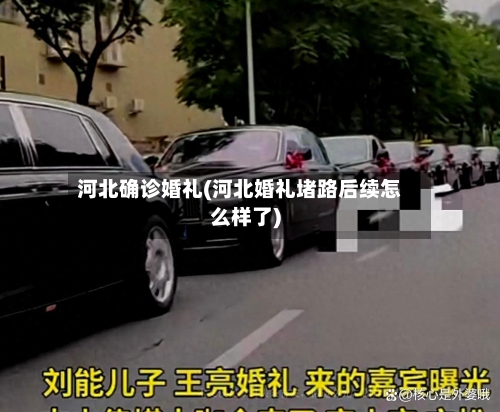 河北确诊婚礼(河北婚礼堵路后续怎么样了)