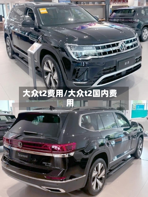 大众t2费用/大众t2国内费用