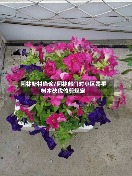园林新村确诊/园林部门对小区零星树木砍伐修剪规定-第3张图片