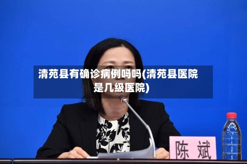 清苑县有确诊病例吗吗(清苑县医院是几级医院)-第2张图片