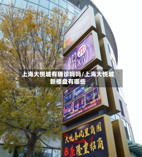 上海大悦城有确诊吗吗/上海大悦城新楼盘有哪些-第2张图片